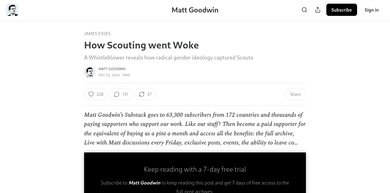 Article 'How Scouting went Woke' by James Esses on Matt Goodwin Substack site